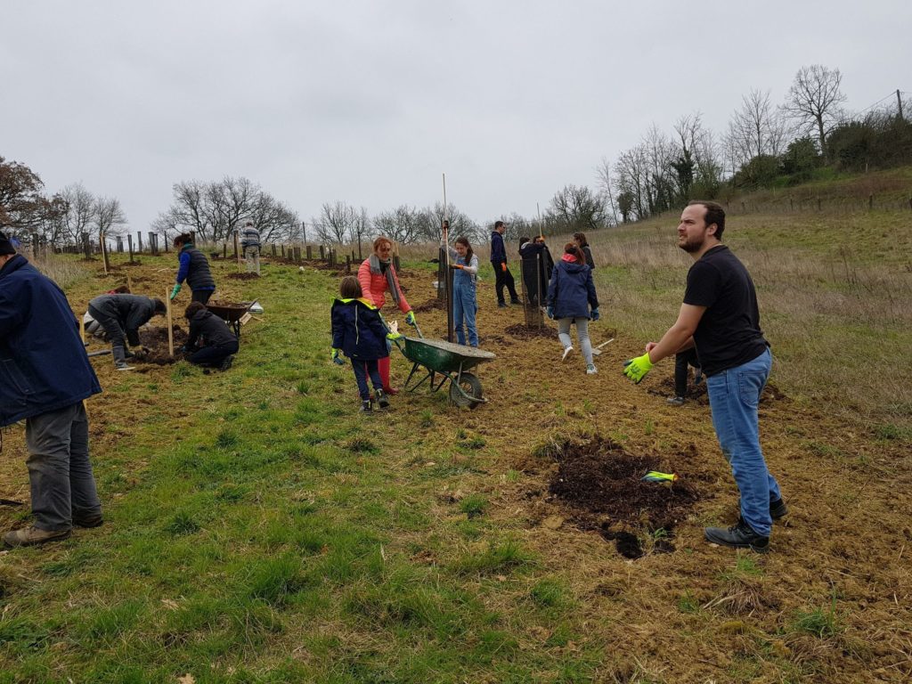 plantation d'arbres avec RTTA et les fous du bois