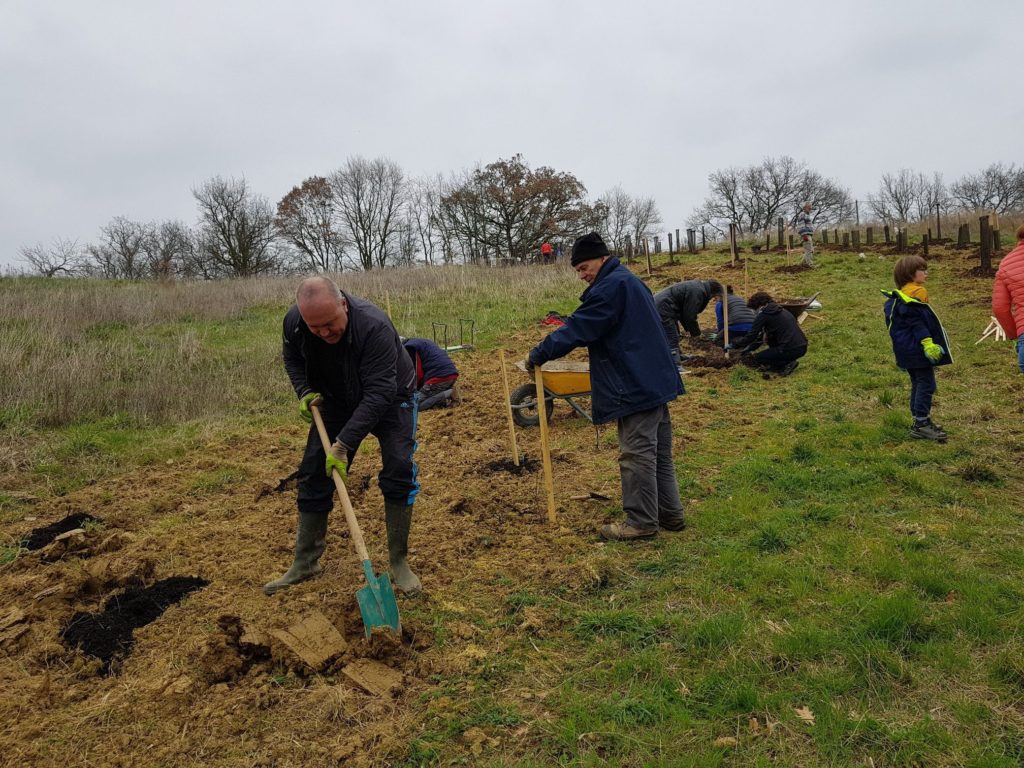 plantation d'arbres avec RTTA et les fous du bois