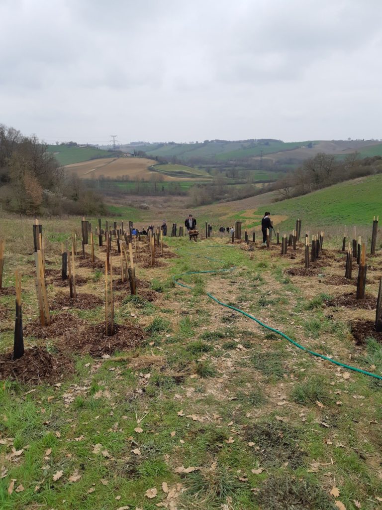 plantation d'arbres avec RTTA et les fous du bois