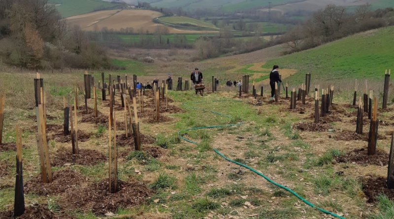 plantation d'arbres avec RTTA et les fous du bois