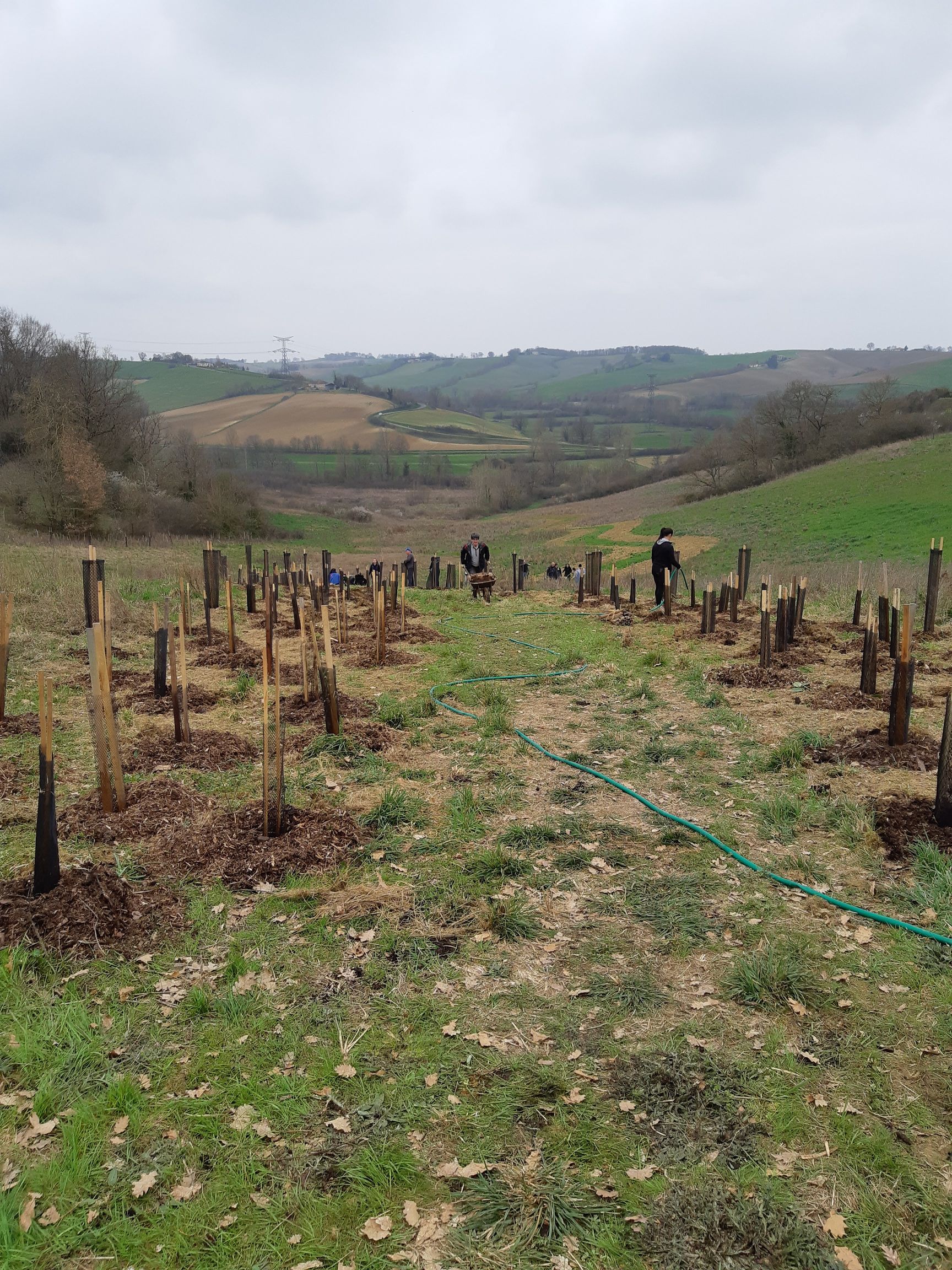 Journée plantation d’arbres
